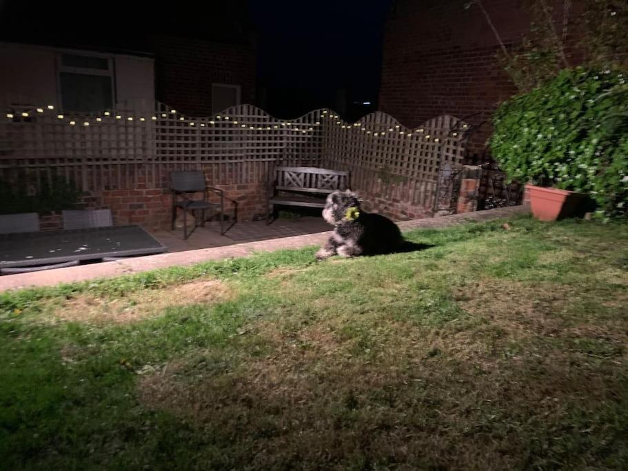 Award Winning Pet Friendly Paddock Cottage 휫비 외부 사진